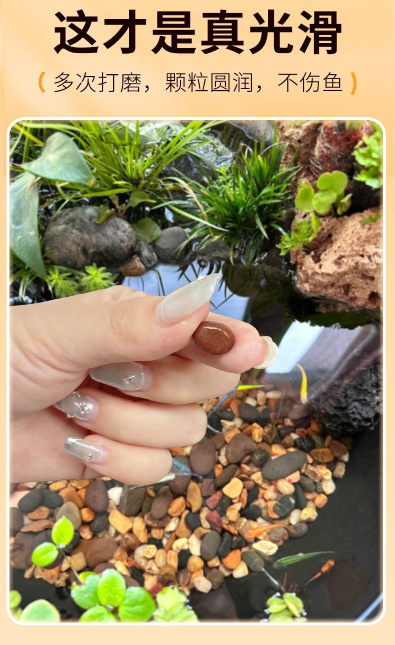 6e94b16b-b62d-4fc2-a554-00ce68d975c9.jpe