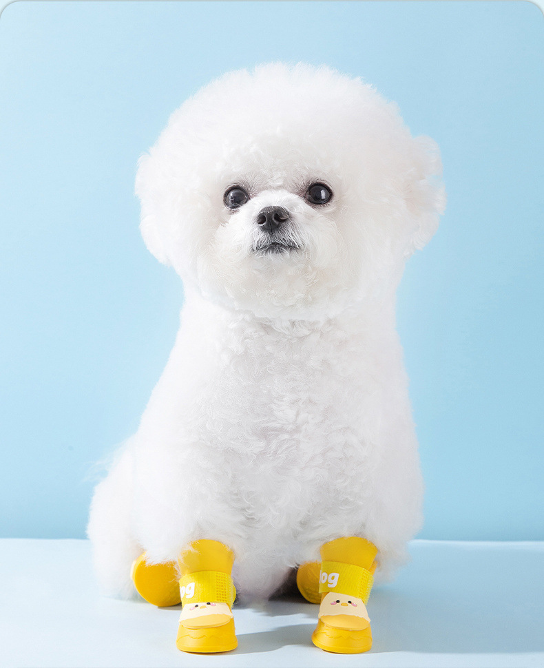 d7359540-0e4a-4ba3-a030-1536db425c69.jpe