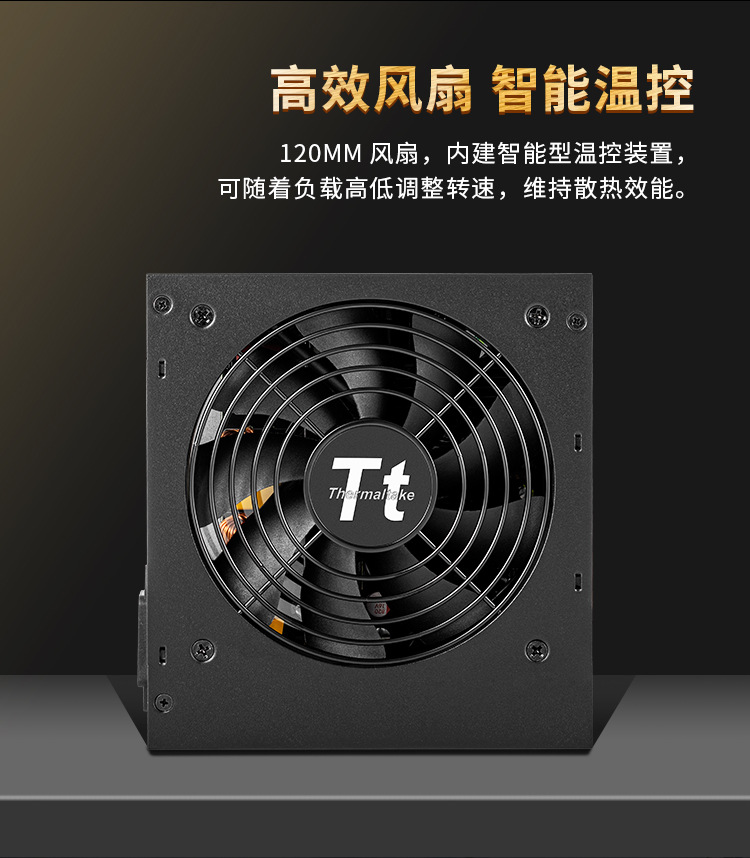 TT TR2 GOLD 600W- (4).jpg