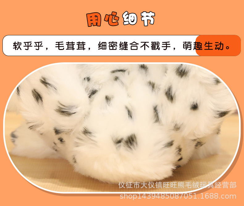 19-详情 (11).jpg
