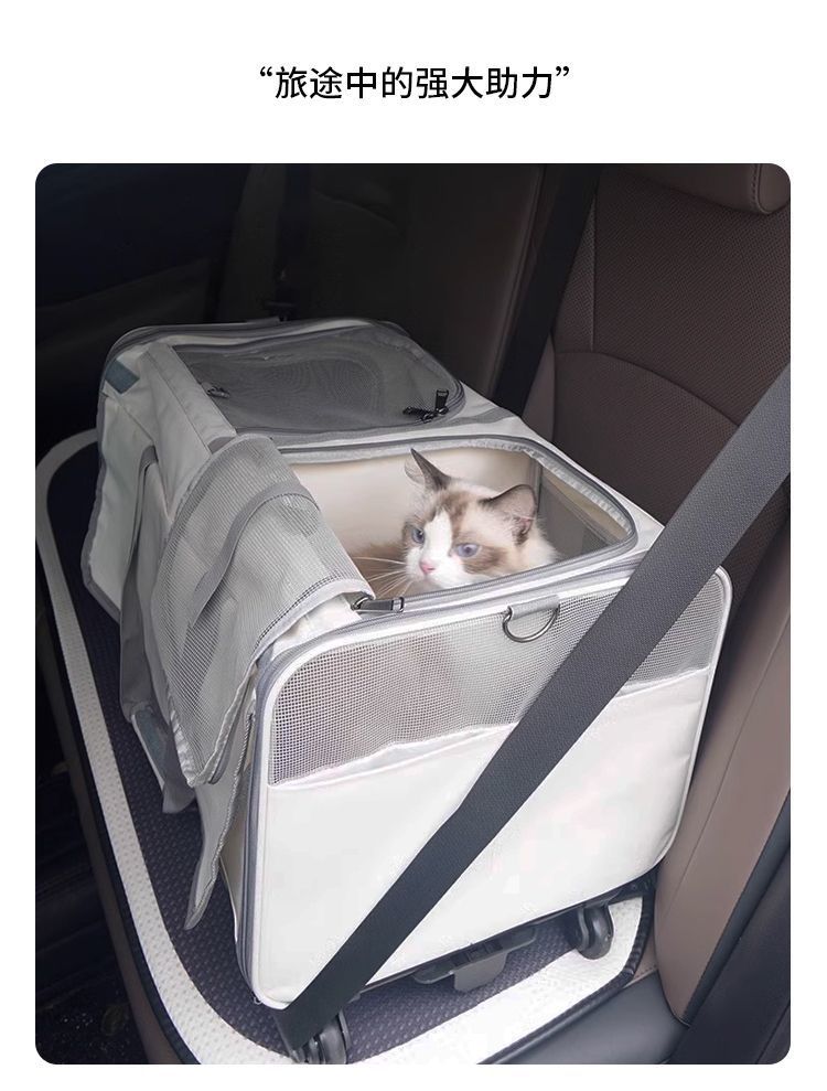 4eed6f03-86e3-4178-a60d-97ff81242f05.jpe