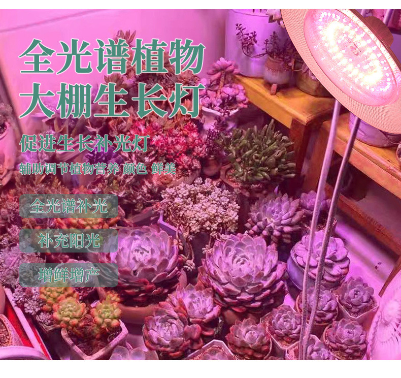 c1b0b51a-f154-470f-bf18-91be64fd41b7.jpe