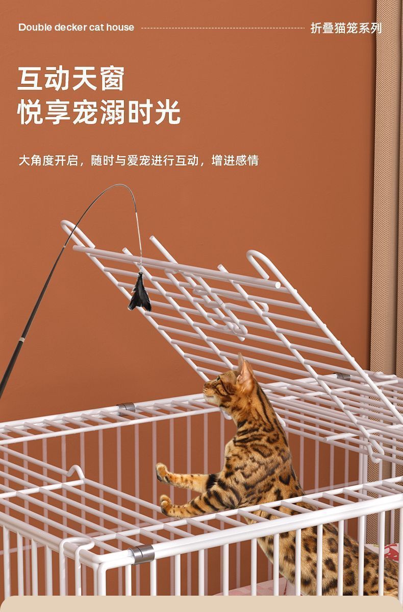 307443d2-018b-4a90-a89a-b7bd9cb4d518.jpe