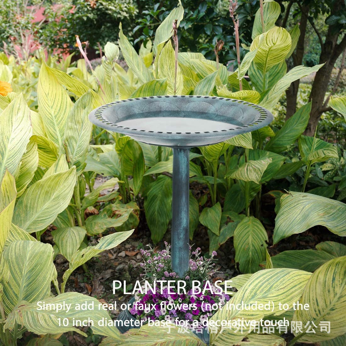 71efEP+n0wL._AC_SL1100_