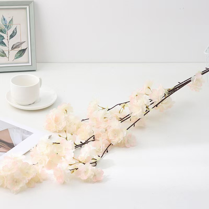 微信图片_20240527080750