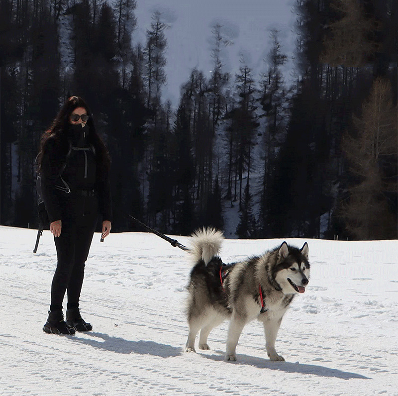 O1CN01DZrSbY1L8NZCtUtHo_!!2216