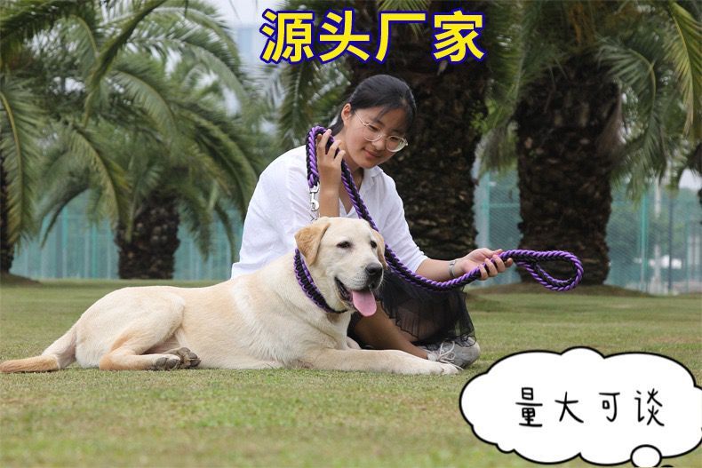 QQ图片20210531031507