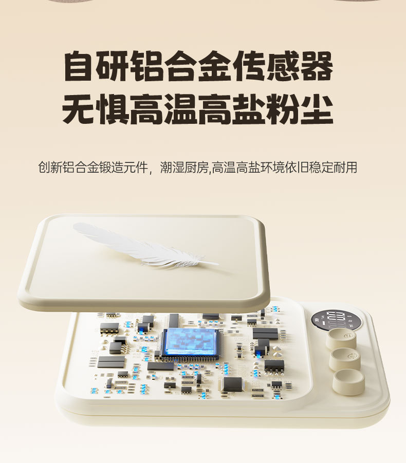 厨房秤详情_03