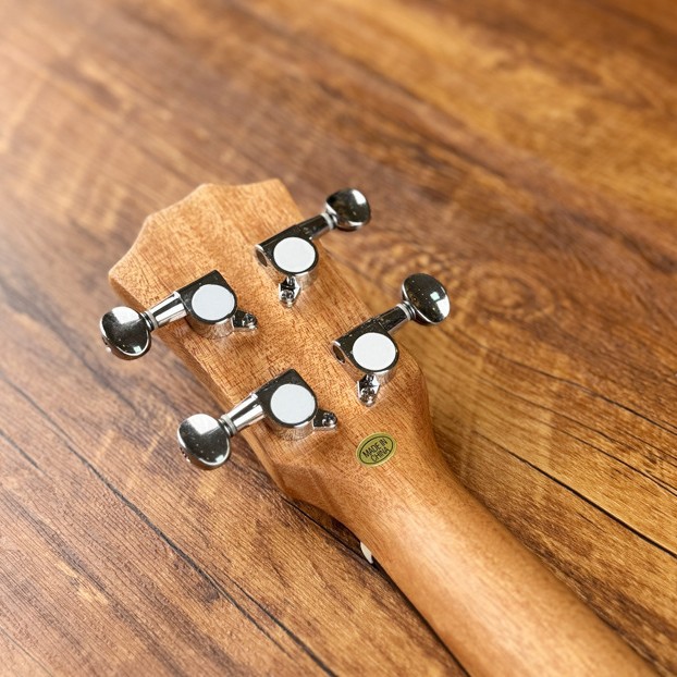 2026-03-09 22:05:01.jpg