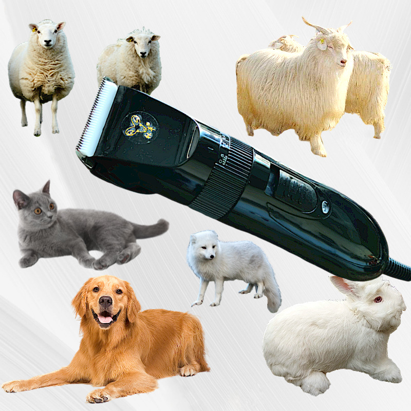 默认标题_主图图标_2021-10-28 17_03_36.