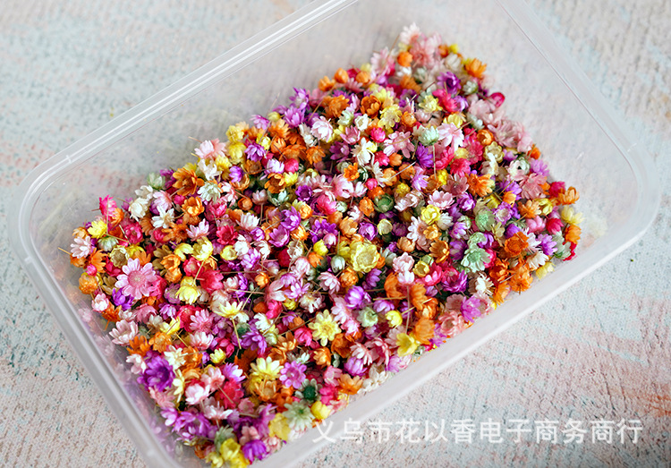 小星花花头—义乌花以香