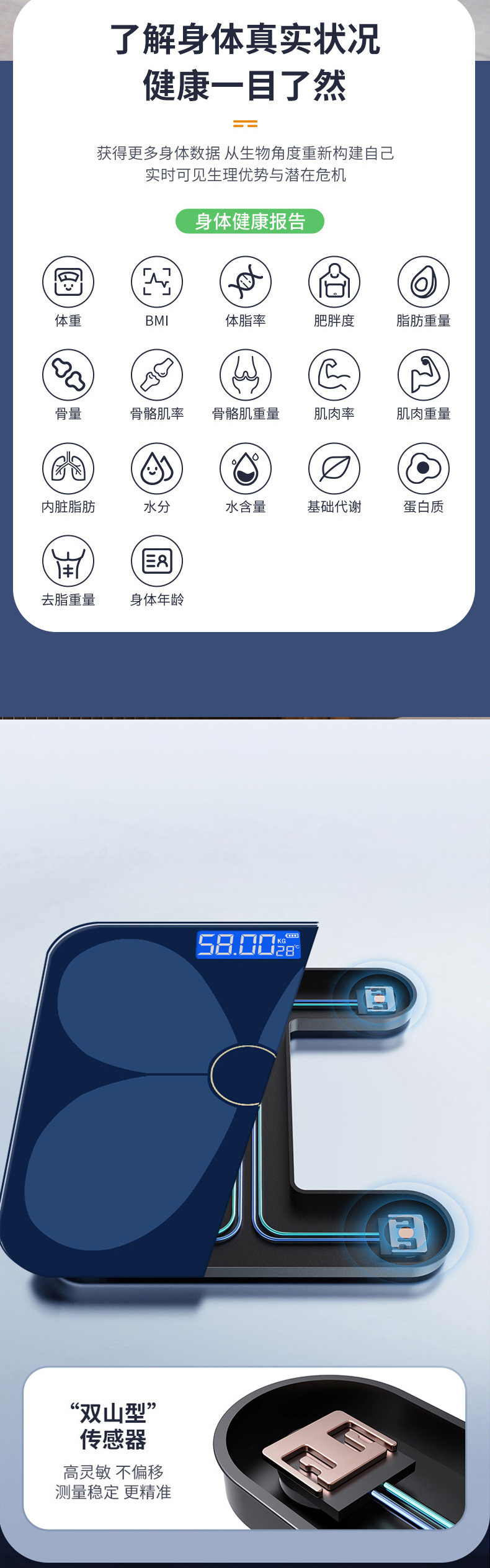 蝴蝶_04