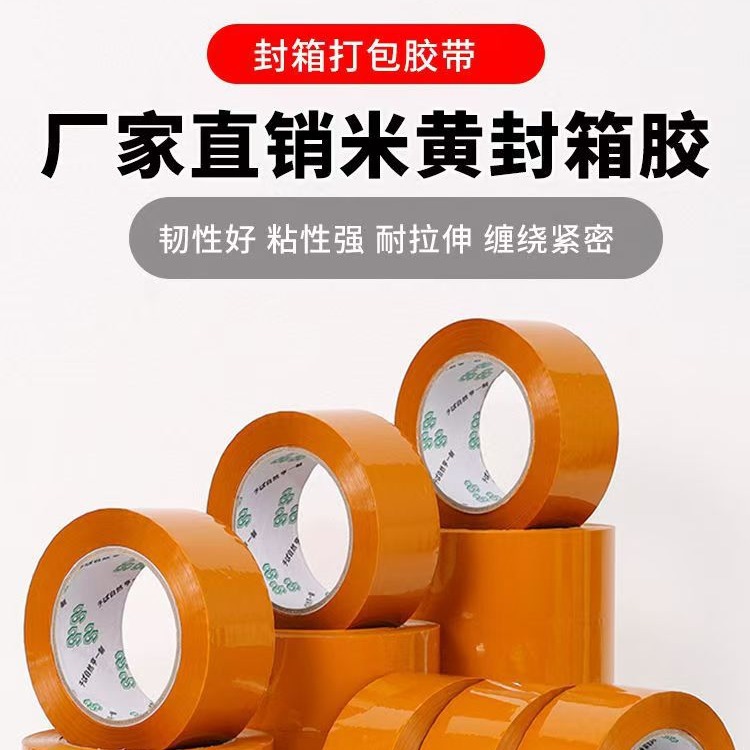 2024-08-19 12:12:15.jpg