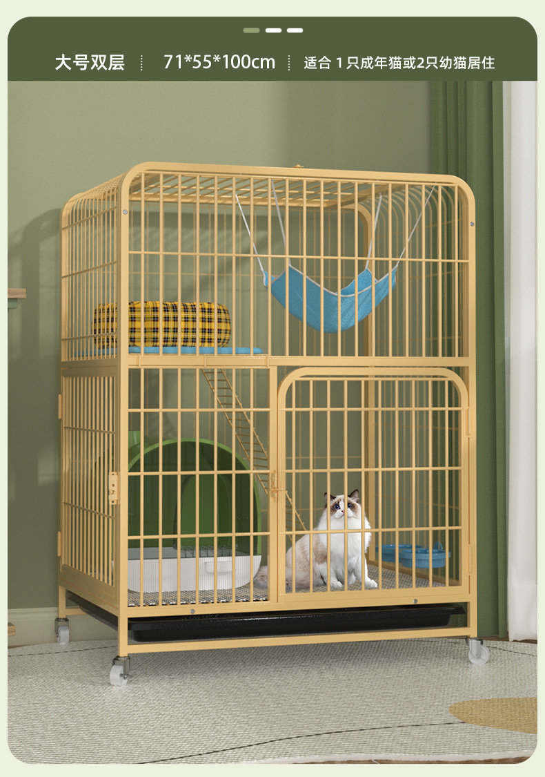 30a067a4-b1cf-4869-a919-6937db19fe5a.jpe