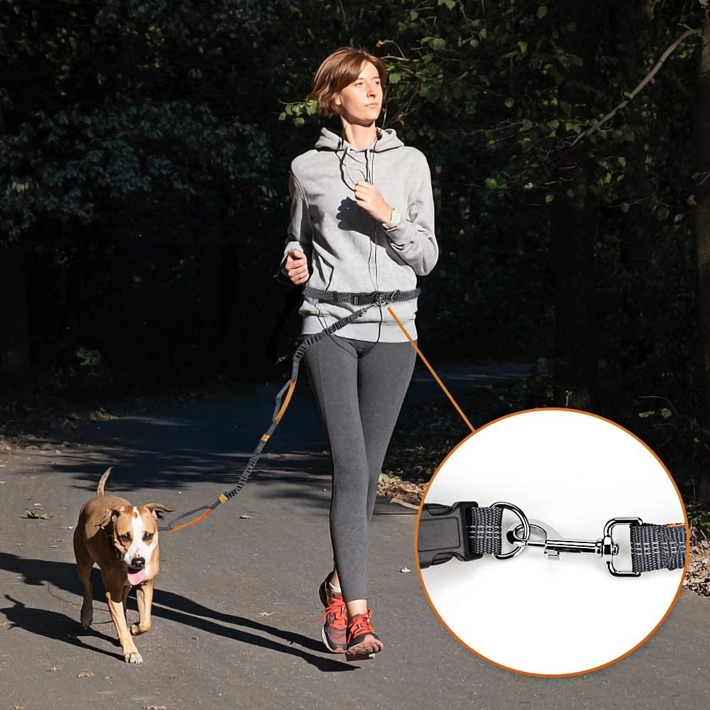 Dog-Leash-Hands-Free-Leash-For