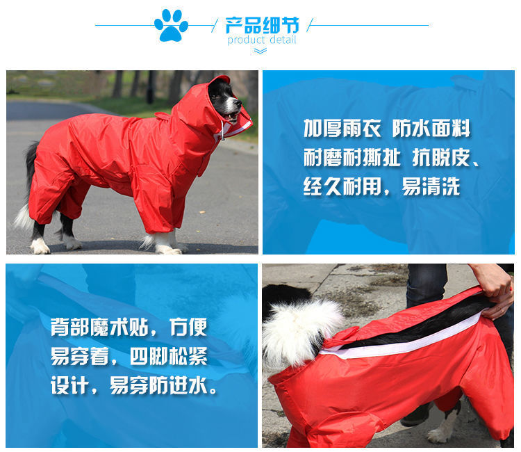 cd2311d4-86a2-4736-a5cd-13cdb6dddccf.jpe