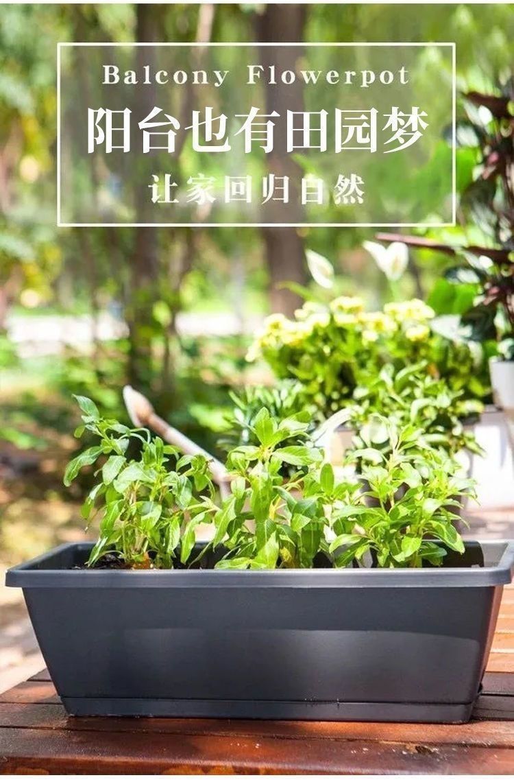 1407ac1d-ba3d-4908-ba0b-7b426c6f9913.jpe