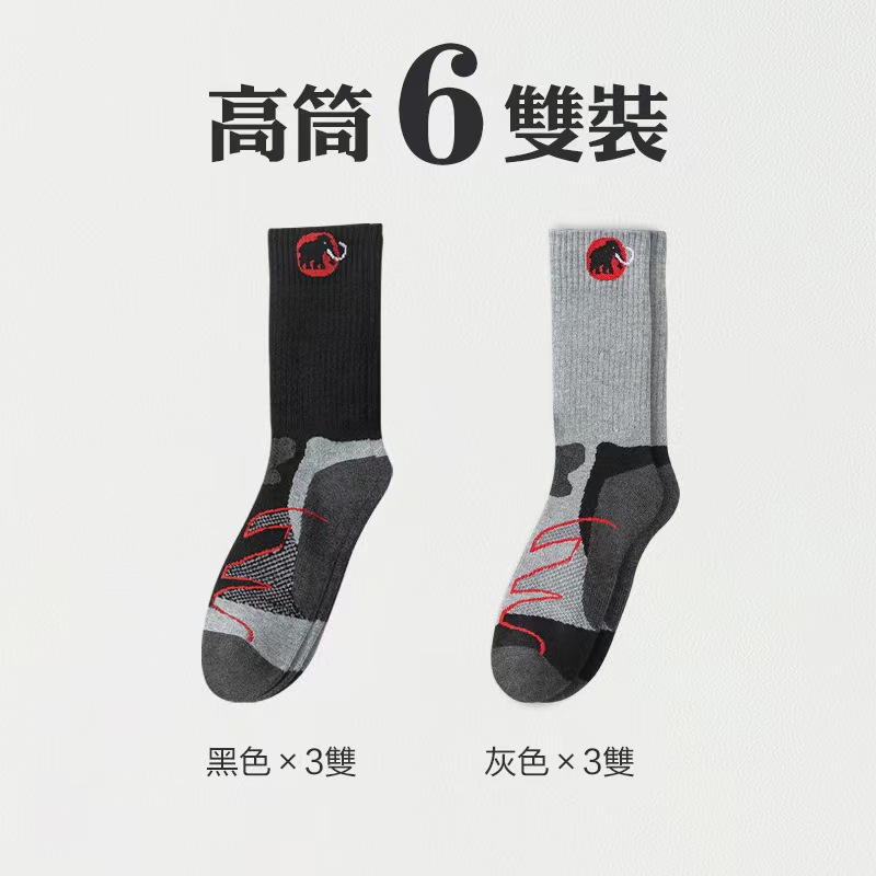 图片_20250323134411