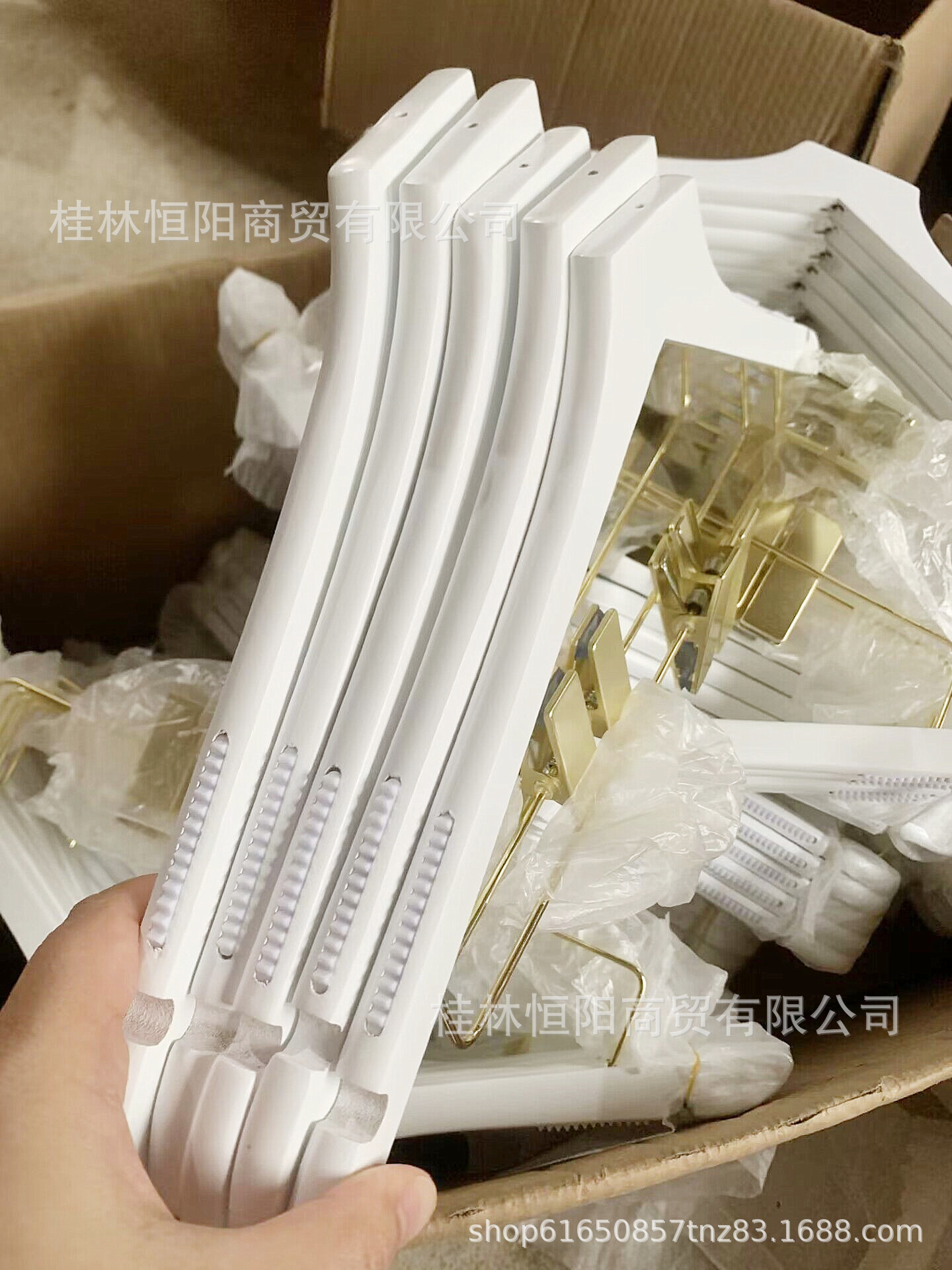 QQ图片20230611125444