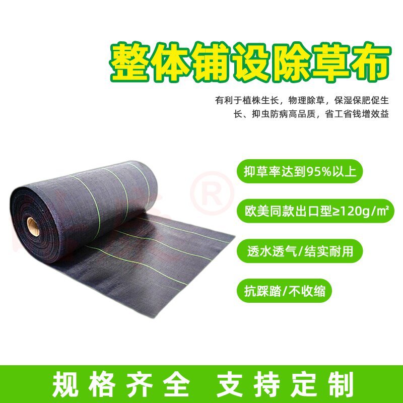 除草布整体铺设_proc