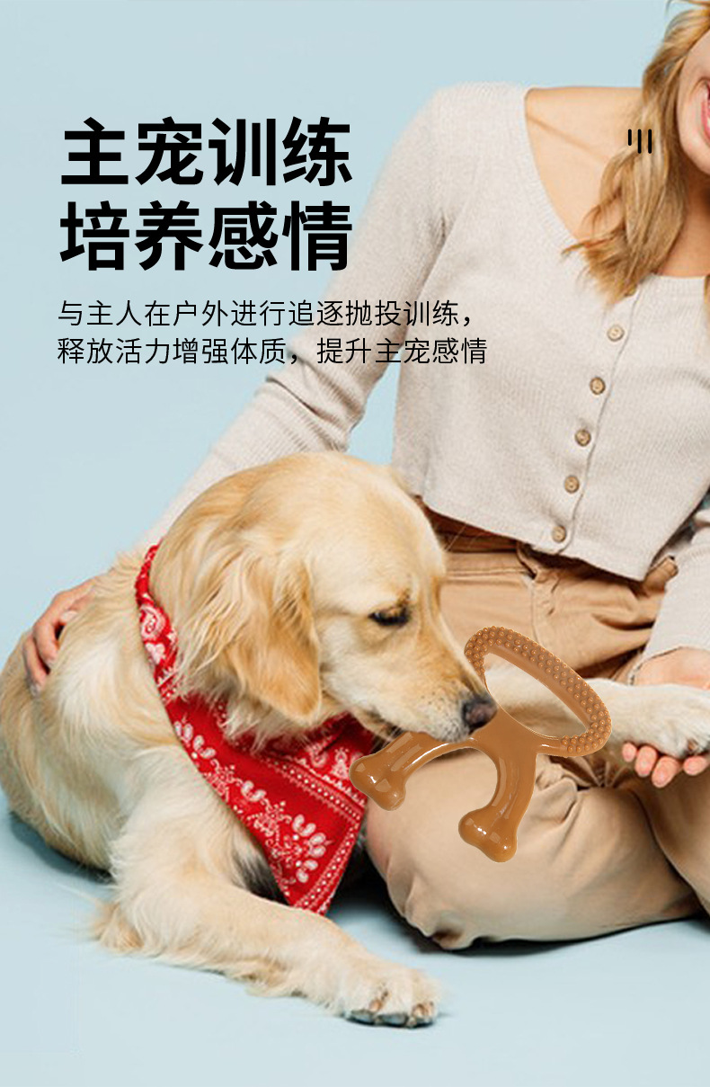 洁齿