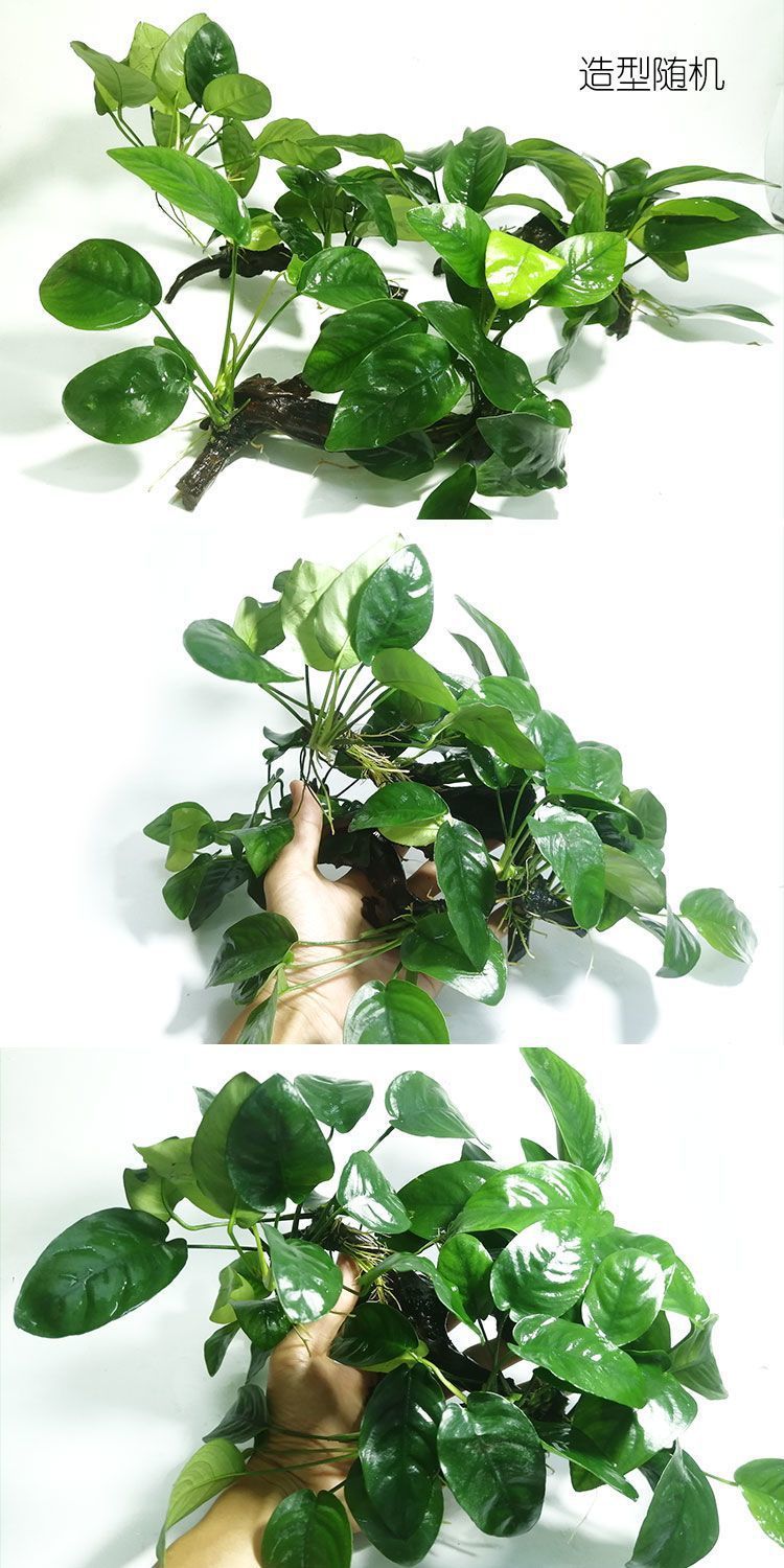 09059854-f473-4d14-a99b-6476ce38808f.jpe