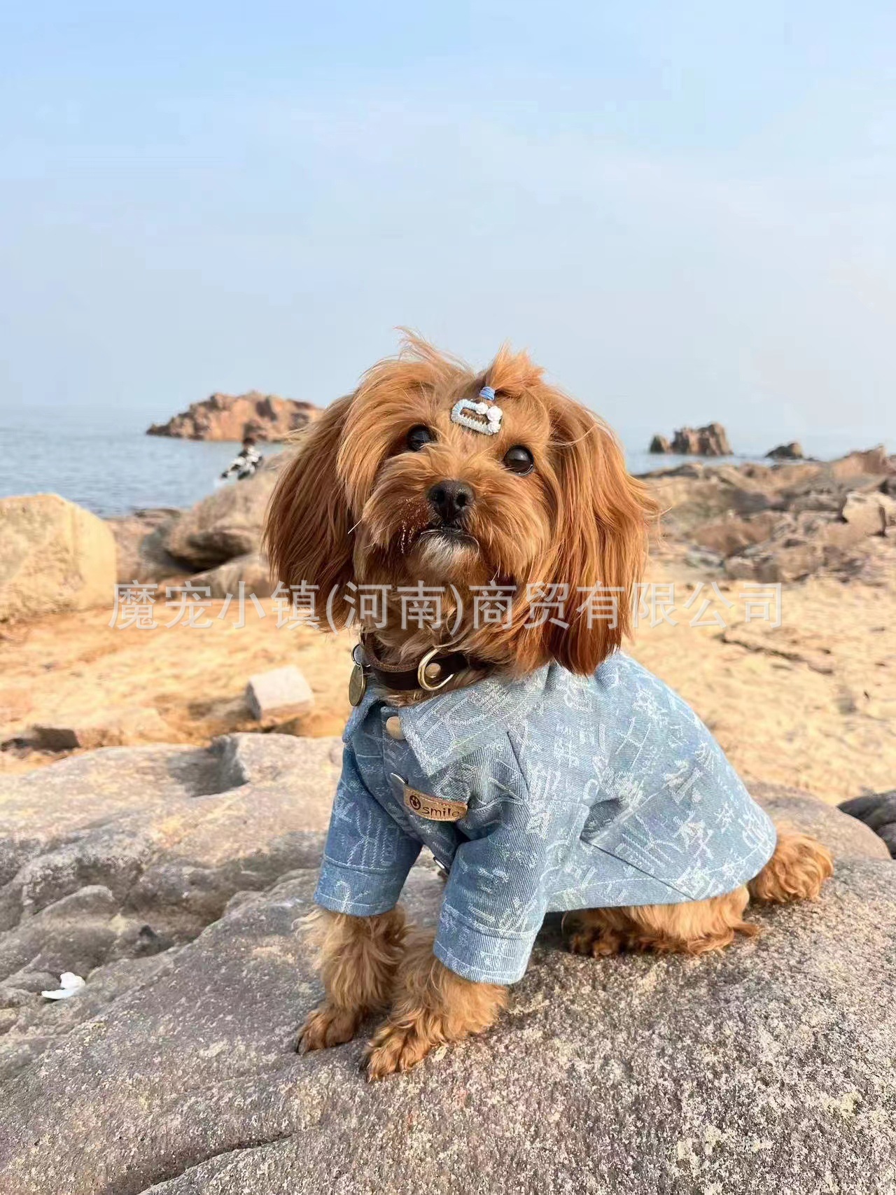 6f938caa2cbf196d37d7196c132428