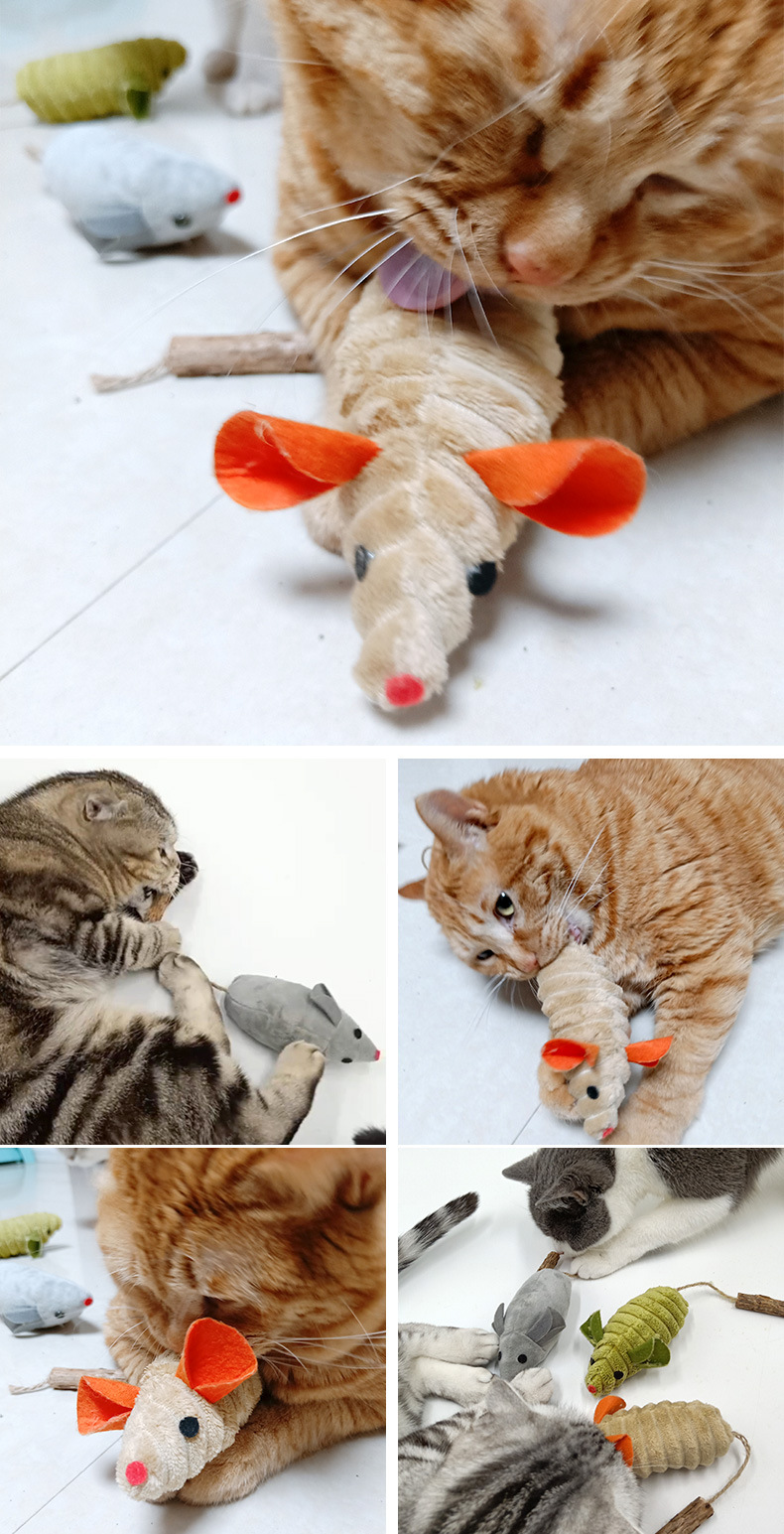 O1CN01WUR8zz21uezZWn4Xu_!!3063