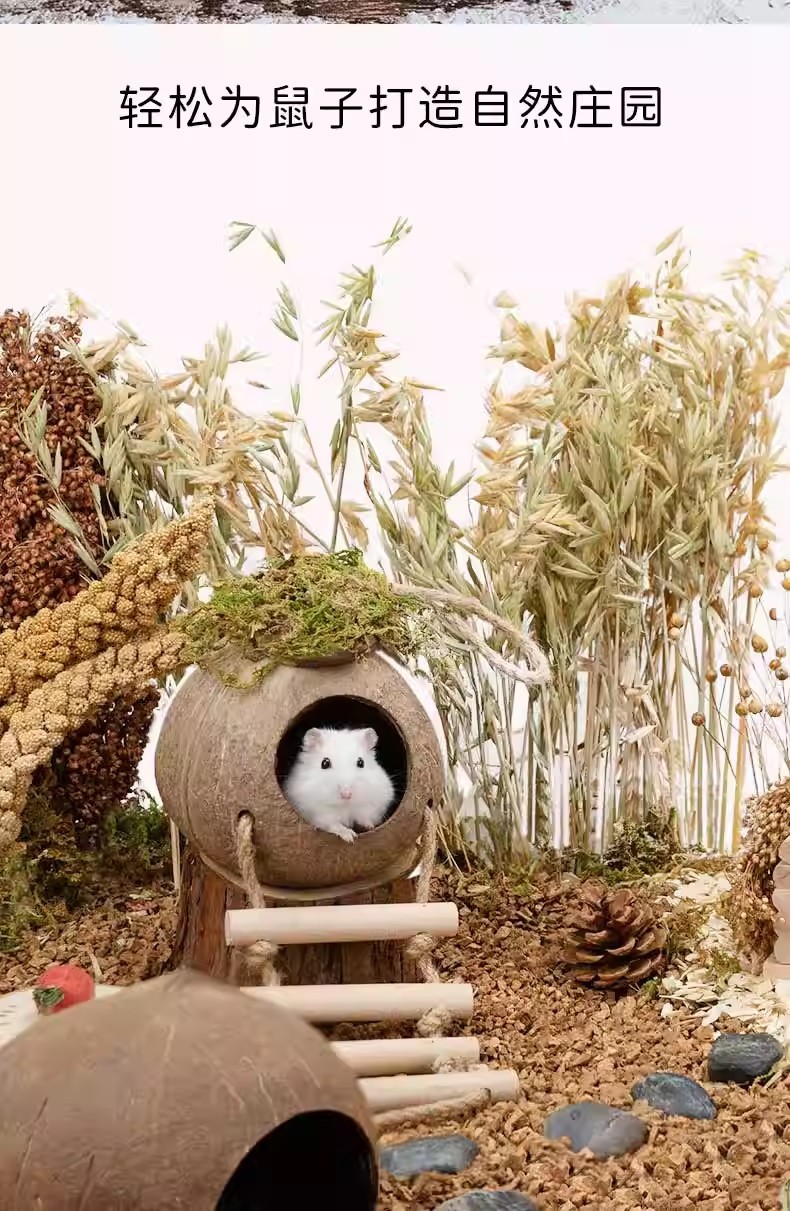 13b8dc47-9f91-4eee-a2c4-d7bc1a9e2d2e.jpe