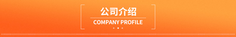 公司介绍