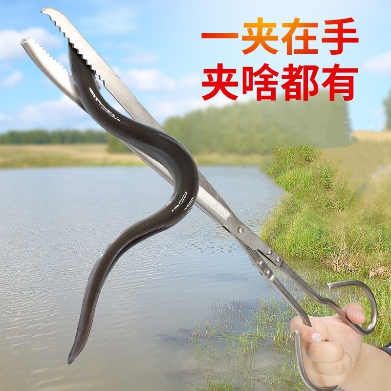 mmexport9db82dbb77c2b3e4da0095