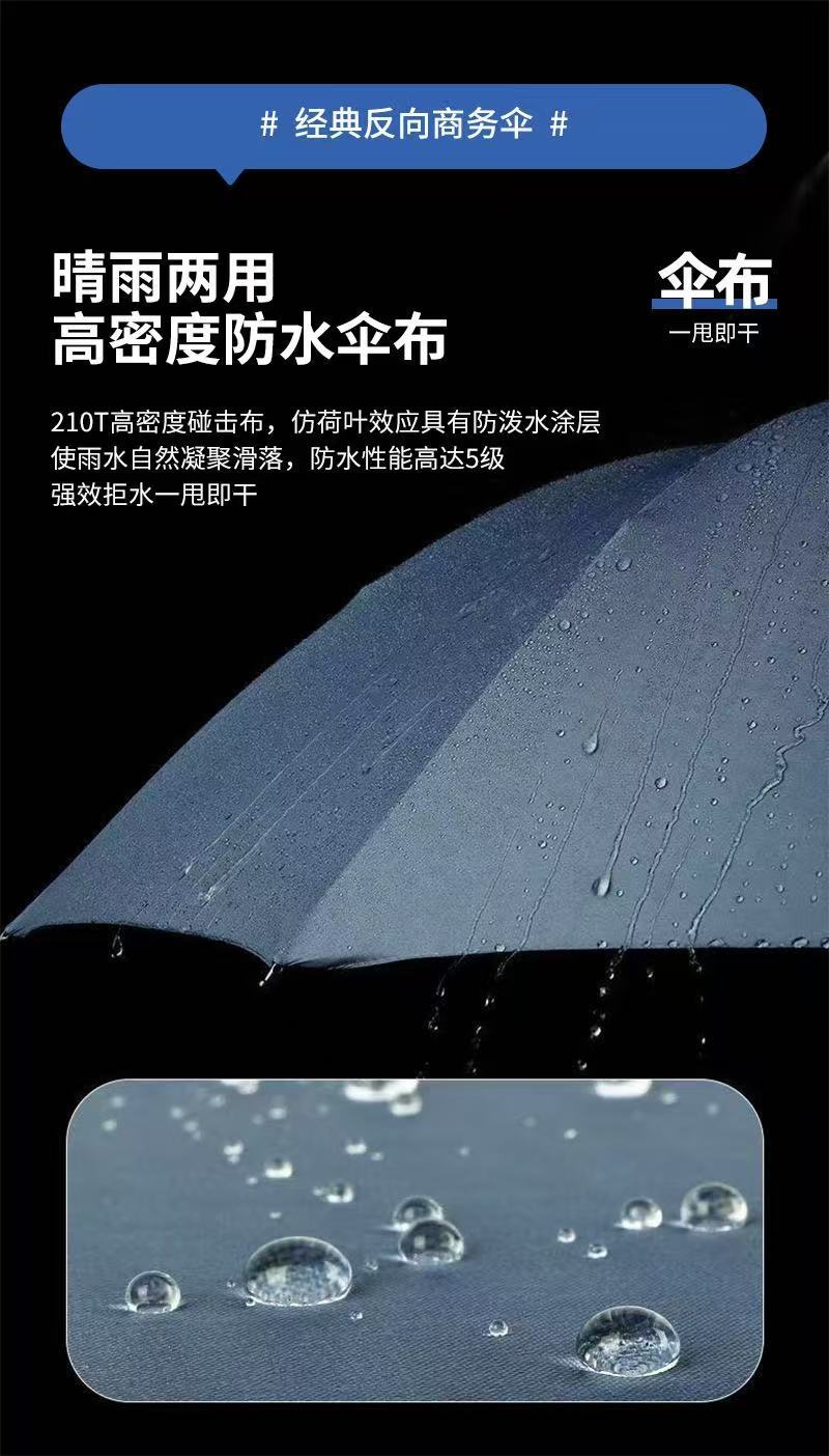 微信图片_20250219115234