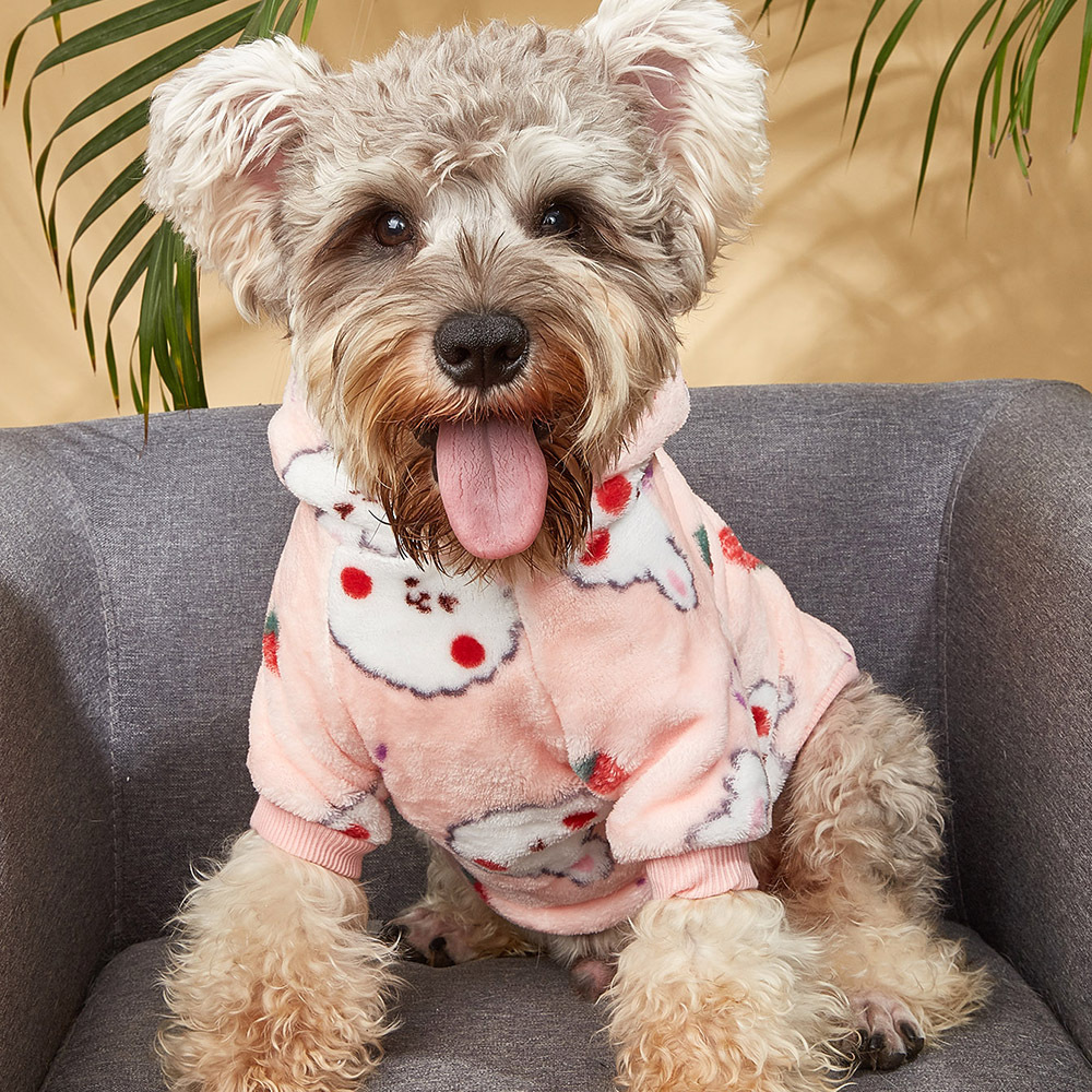 宠物衣服狗衣服