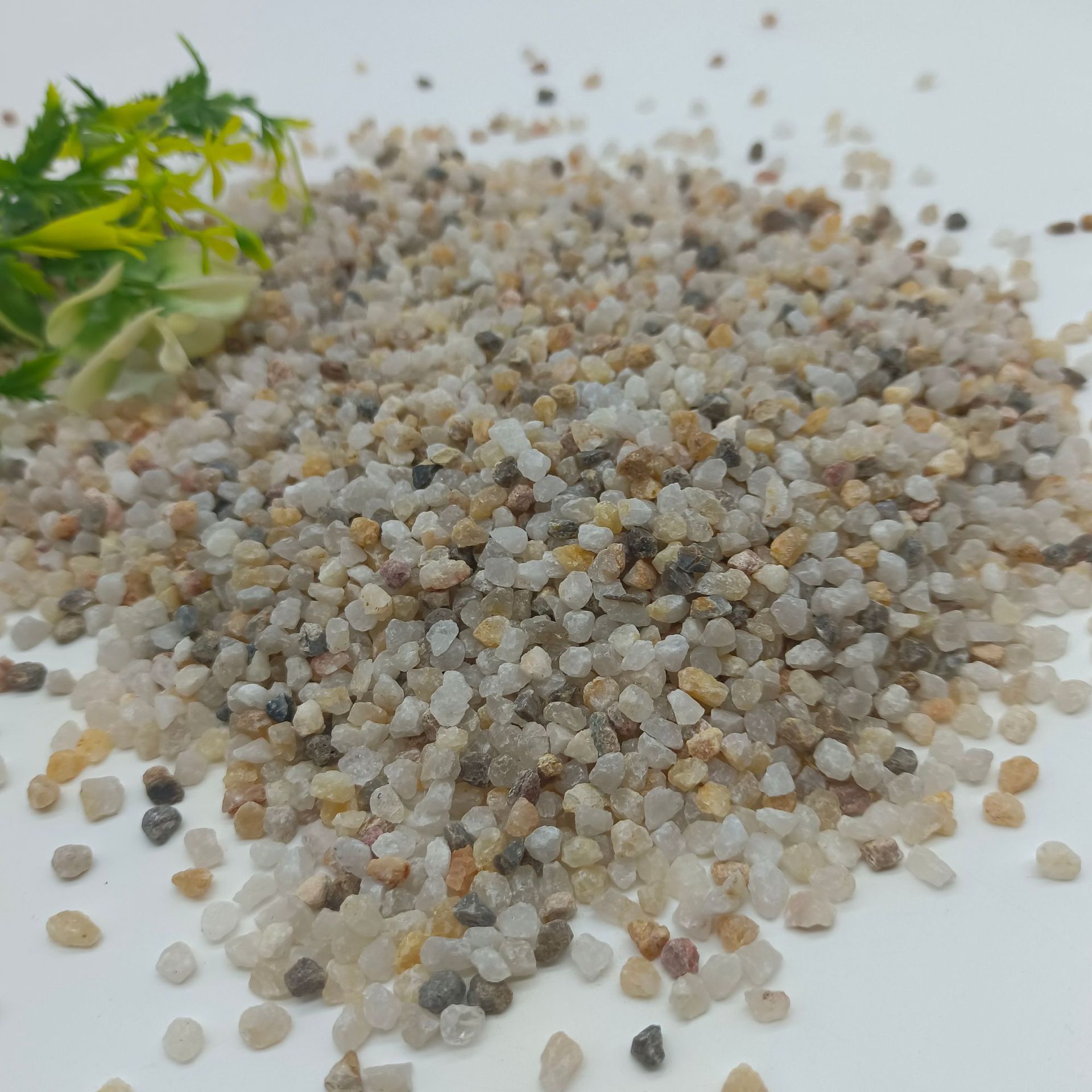 微信图片_20240918120948