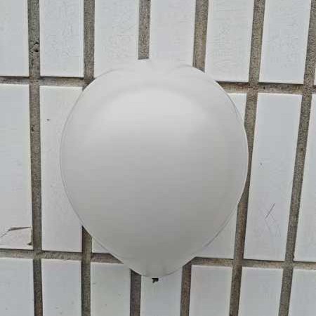 2024-11-15 12:53:14.jpg