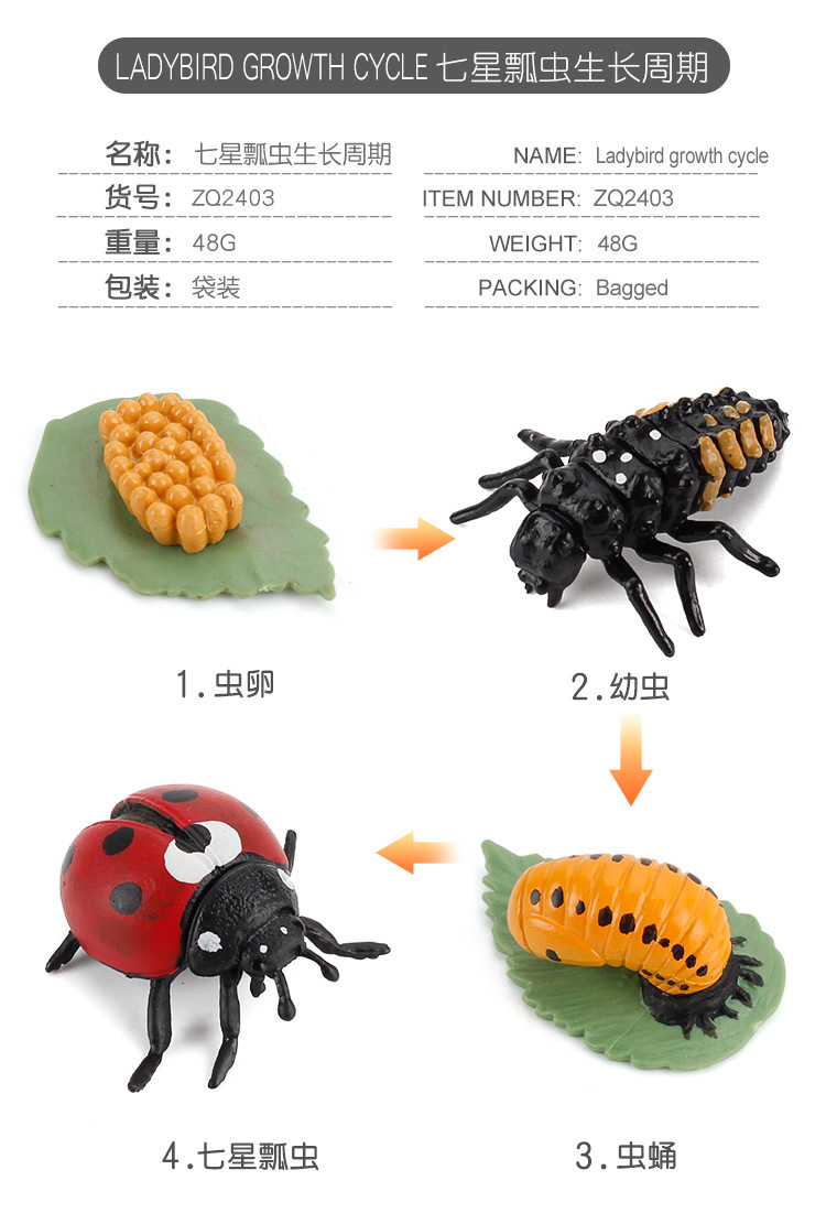 详情_02.jpg