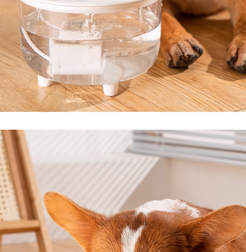 a66618ba-9c0c-4383-a146-442b8467bc70.jpe