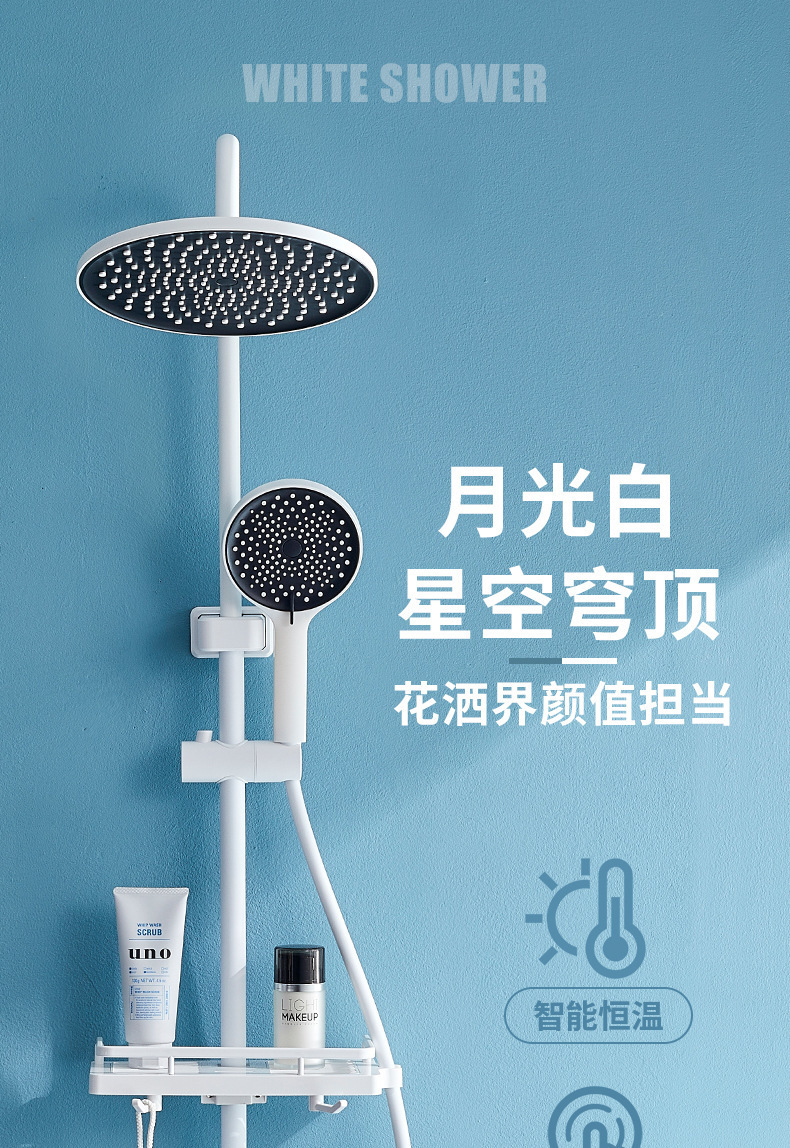 描述图1.jpg