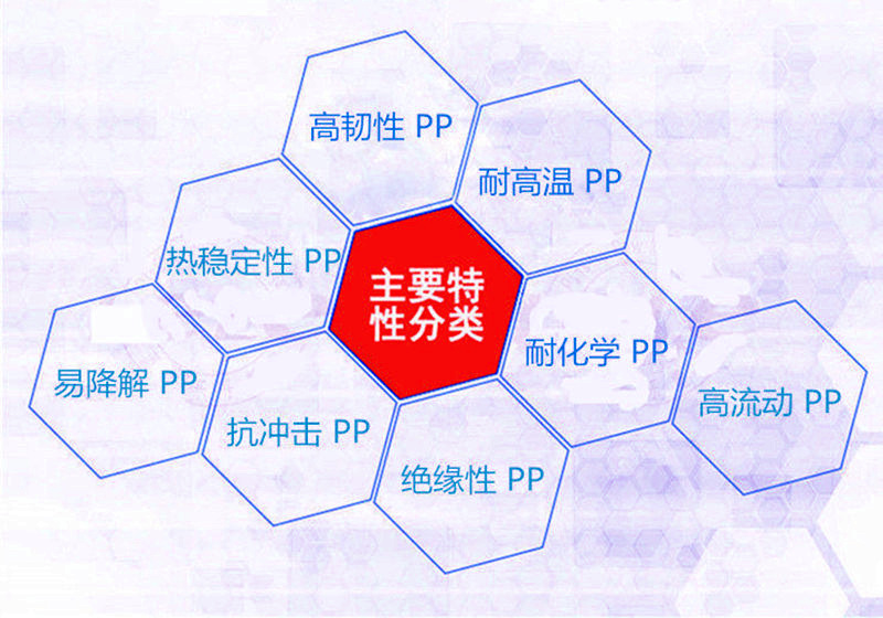 PP详情2