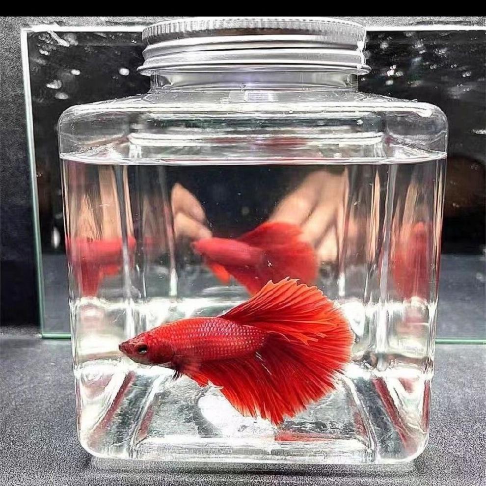 1159f5e9-5af5-4a87-845d-3a4d36cedc2e.jpe