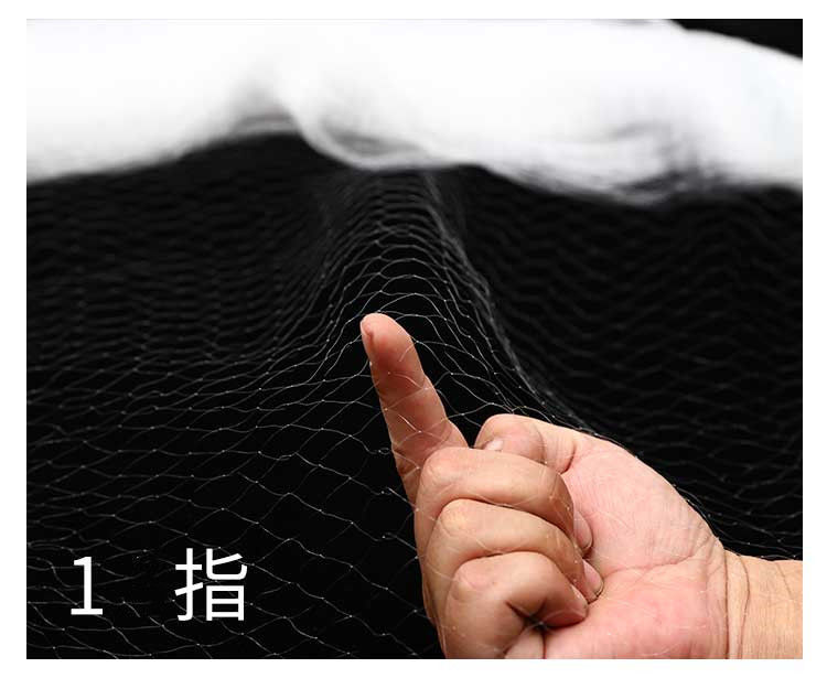 7a369e92-fe39-4899-982e-44e425193416.jpe