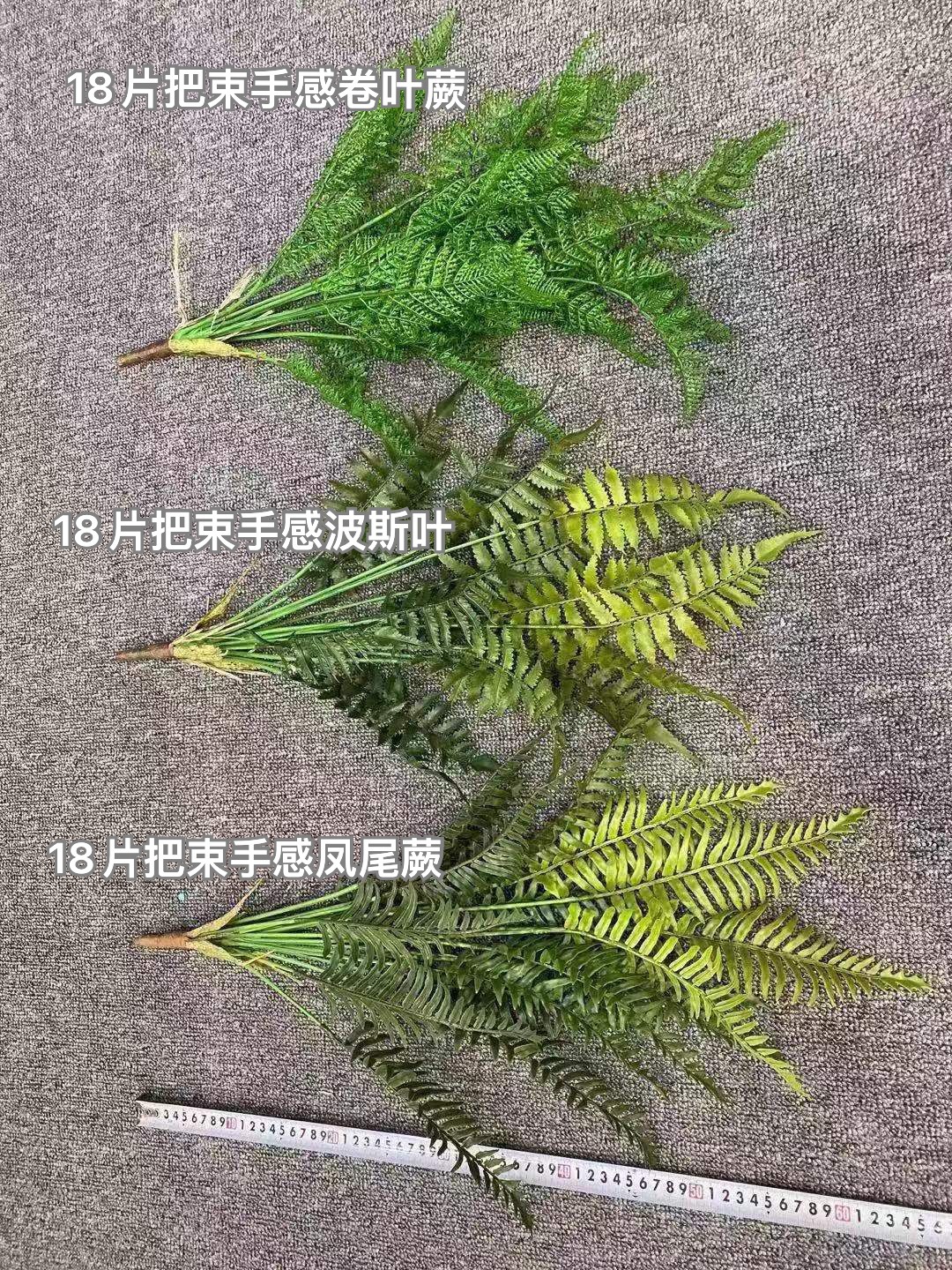 微信图片_20221105162708