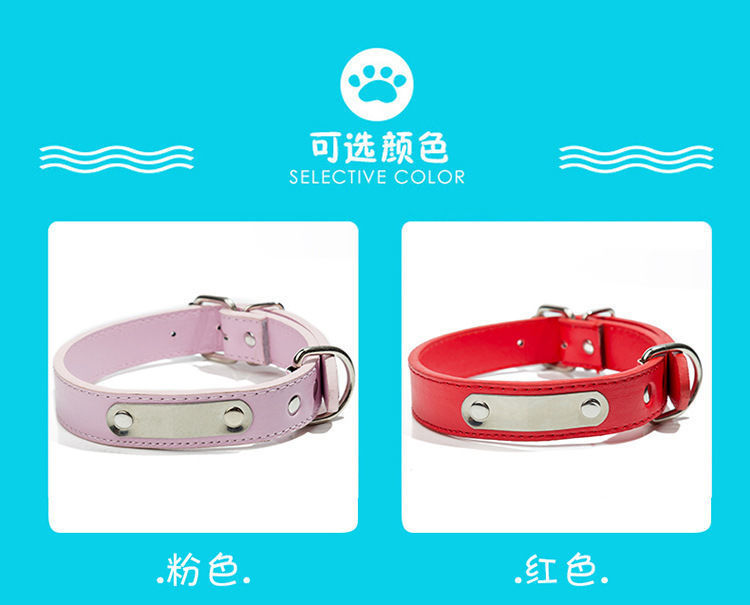 f31ec8ea-507d-4624-8b78-84fbccdf5720.jpe