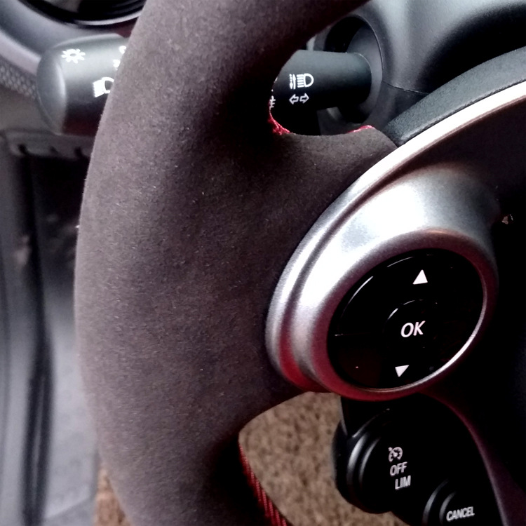 A62 全翻毛 细节.jpg