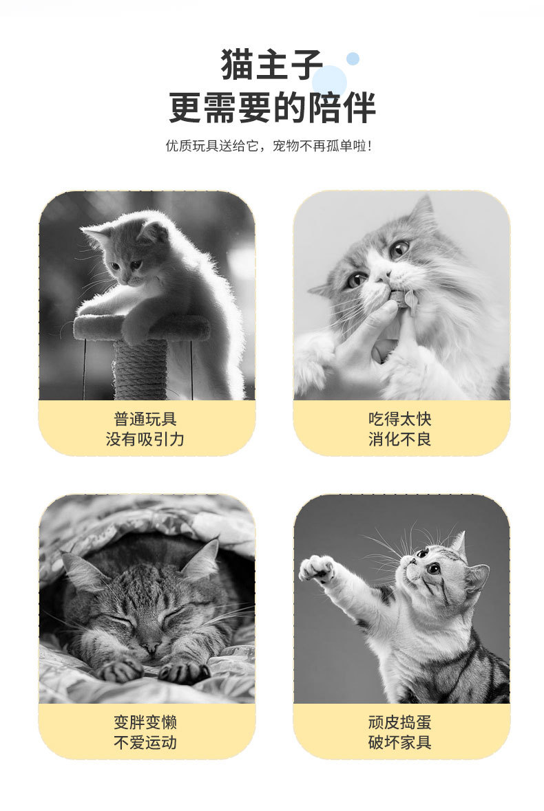 详情_03.jpg