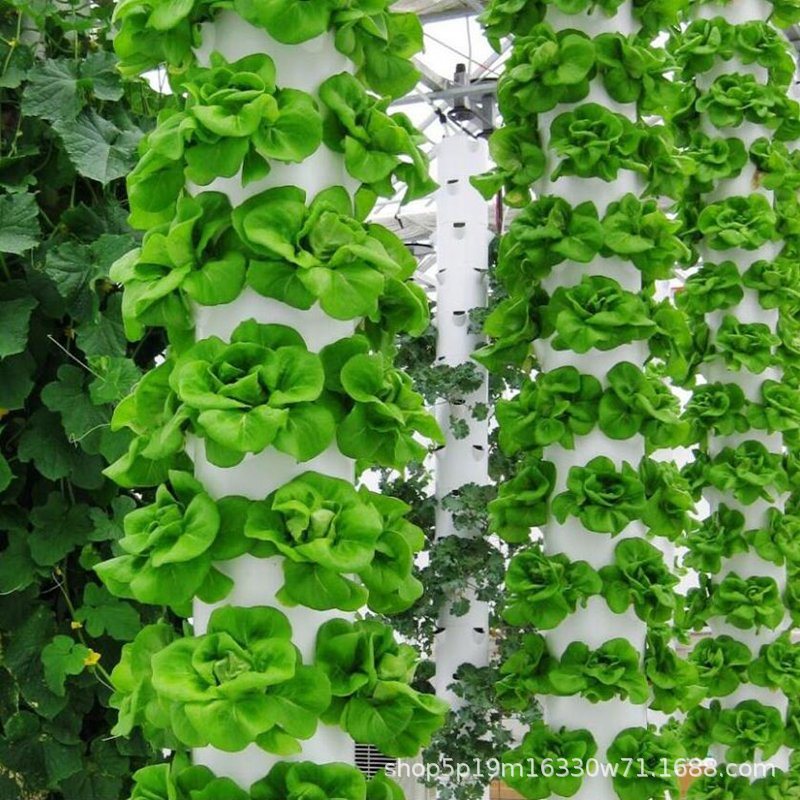 Xiamen-Fortop-Biotech-Co-Ltd-.