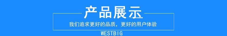 10993100521_18376673_副本