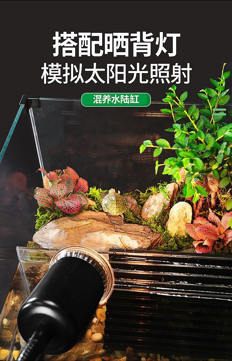 f50485a9-ca72-4675-9763-310008fd67ff.jpe