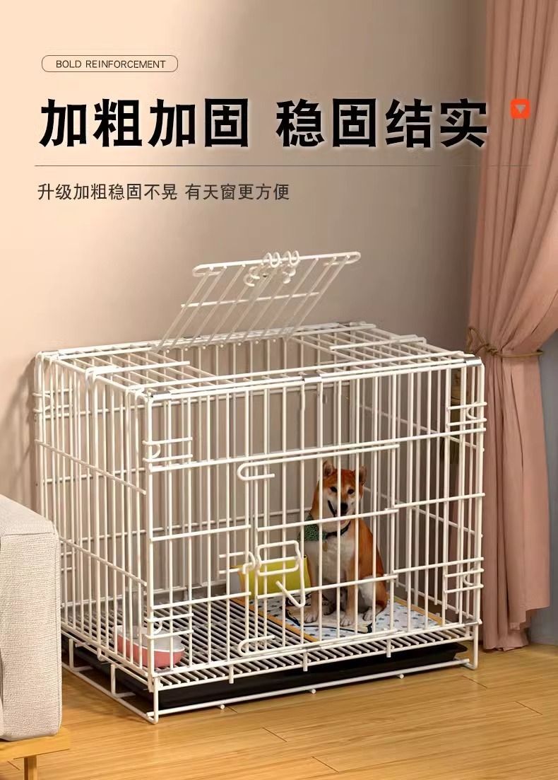 7a9d752b-e031-49c9-a9d2-f29eb78e601b.jpe