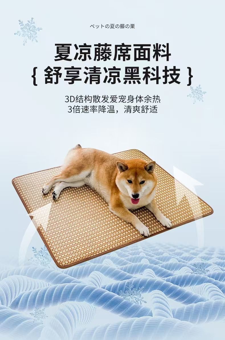 13bdeb23-331b-4531-a508-db7b4292e413.jpe